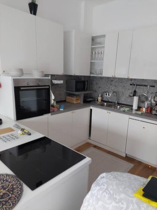 Stilvolle Wohnung Mit Terrasse/Garten Vídeň Exteriér fotografie